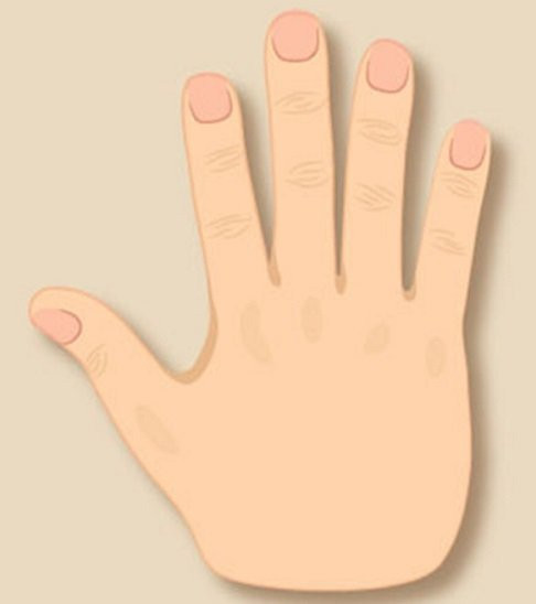 Xem tướng bàn tay theo ngũ hành để biết ai giàu sang ai khốn khó - Hình 4 Xem tuong ban tay theo ngu hanh de biet ai giau sang ai khon kho-Hinh-4