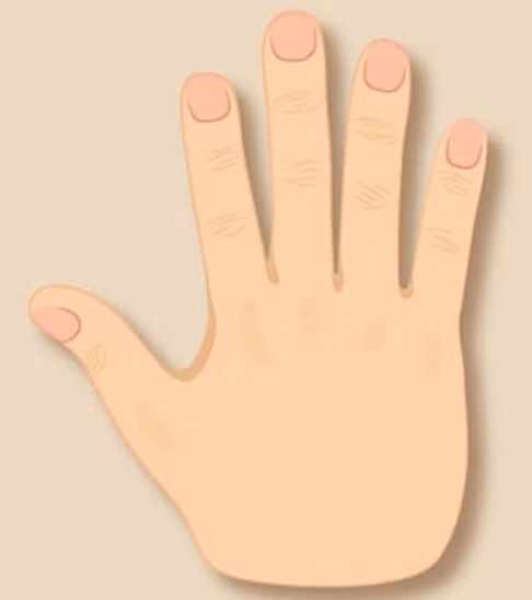 Xem tướng bàn tay theo ngũ hành để biết ai giàu sang ai khốn khó - Hình 4 Xem tuong ban tay theo ngu hanh de biet ai giau sang ai khon kho-Hinh-4