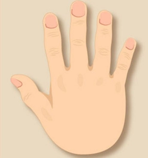 Xem tướng bàn tay theo ngũ hành để biết ai giàu sang ai khốn khó - Hình 2 Xem tuong ban tay theo ngu hanh de biet ai giau sang ai khon kho-Hinh-2