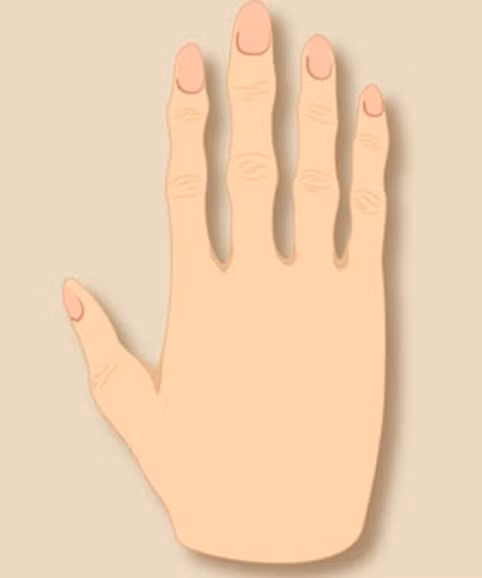 Xem tướng bàn tay theo ngũ hành để biết ai giàu sang ai khốn khó - Hình 5 Xem tuong ban tay theo ngu hanh de biet ai giau sang ai khon kho-Hinh-5