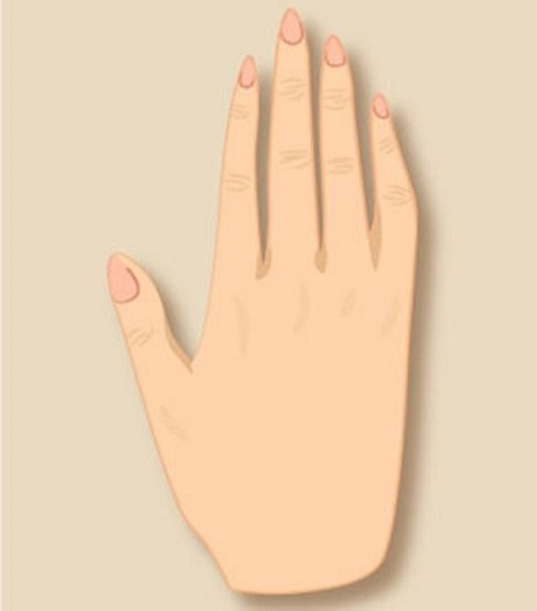 Xem tướng bàn tay theo ngũ hành để biết ai giàu sang ai khốn khó - Hình 3 Xem tuong ban tay theo ngu hanh de biet ai giau sang ai khon kho-Hinh-3