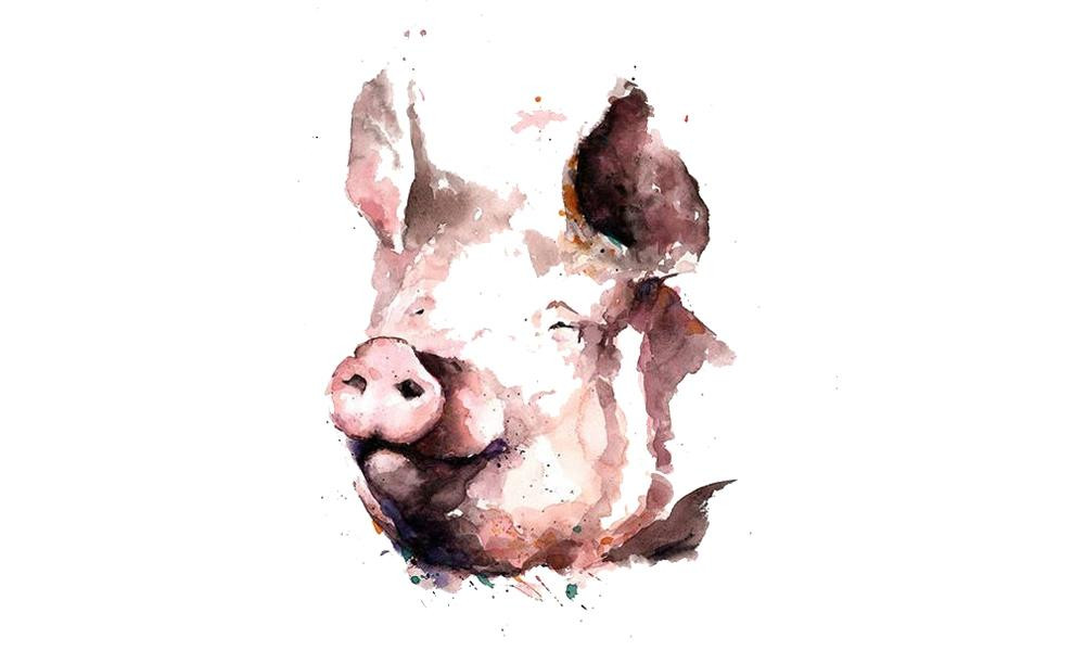 4. Tuổi Hợi. Tuổi Hợi từ xưa đã không may mắn nhưng là con giáp được trời phù hộ do tính cách thật thà, không khéo xu nịnh nhưng kiếm tiền rất giỏi.