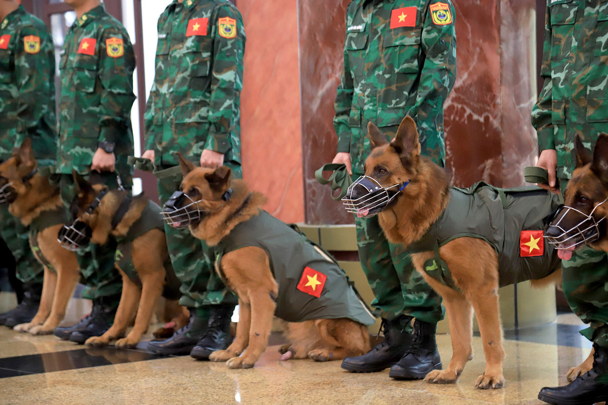 76 quân nhân Việt Nam tham gia cứu nạn tại Thổ Nhĩ Kỳ - Hình 4 76 quan nhan Viet Nam tham gia cuu nan tai Tho Nhi Ky-Hinh-4