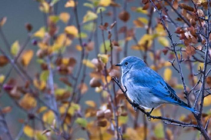  Sinh ngày 2 và 20 Âm lịch. Theo tử vi, người sinh ngày 2 và 20 Âm lịch luôn khiêm tốn, là người làm việc chăm chỉ, không thích khoe khoang mình tài giỏi, mạnh mẽ ở trước mặt người khác. Người sinh ngày Âm lịch này luôn giữ lý trí và sự bình tĩnh trước mọi vấn đề. Họ không bao giờ để cuộc sống của mình quá khoa trương, tựa như thùng rỗng kêu to.