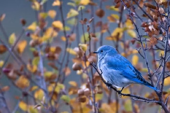  Sinh ngày 2 và 20 Âm lịch. Theo tử vi, người sinh ngày 2 và 20 Âm lịch luôn khiêm tốn, là người làm việc chăm chỉ, không thích khoe khoang mình tài giỏi, mạnh mẽ ở trước mặt người khác. Người sinh ngày Âm lịch này luôn giữ lý trí và sự bình tĩnh trước mọi vấn đề. Họ không bao giờ để cuộc sống của mình quá khoa trương, tựa như thùng rỗng kêu to.