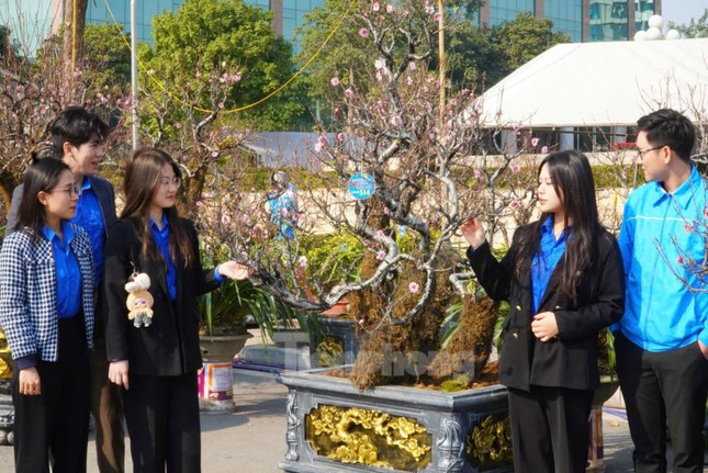 Dao co an minh trong lop reu phong gia dat nhung van hut khach-Hinh-11