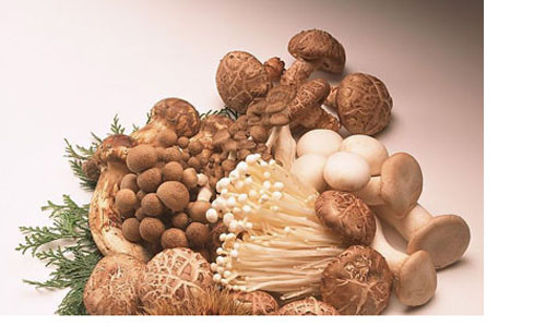 Đây là một loại thực phẩm mang lại giá trị dinh dưỡng cao, cung cấp vitamin nhóm A, B, C, D, E,PP, các khoáng chất và 7 loại a-xít amin cần thiết mà cơ thể không tự tổng hợp được giúp bồi bổ cơ thể, tăng cường khả năng miễn dịch, làm chậm quá trình lão hóa.