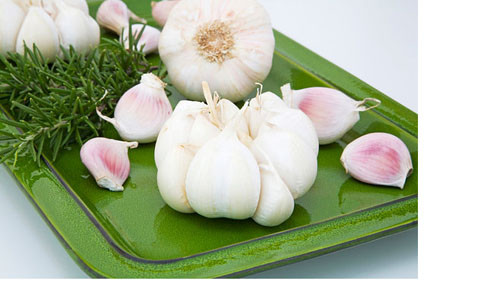 Tỏi chứa nhiều chất chống oxy hóa có thuộc tính chống lão hóa, kết hợp với các hợp chất chống nhiễm trùng, ngăn ngừa vi khuẩn, virus. Ngoài tác dụng ngăn chặn bệnh cảm cúm, nhiễm trùng, ho, tỏi còn giúp bạn có một bộ não trẻ trung, nhạy bén. Bên cạnh đó, loại củ gia vị này cũng được chứng mình có tác dụng ngăn ngừa các bệnh tim mạch.