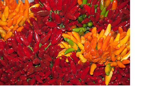 Được xem là loại trái cây làm tăng sự tỉnh táo trong các buổi luyện thi cử, ngoài ra ớt còn cung cấp một lượng vitamin C dồi dào, giúp cải thiện tâm trạng và tăng cường hoạt động của dây thần kinh lên não của các học trò.