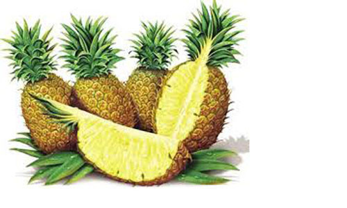 Dứa rất giàu vitamin C và nguyên tố Mangan, vì thế dứa cũng được coi là một trong những thực phẩm tăng cường trí nhớ, nó có tác dụng thư giãn thần kinh, giúp các tĩnh mạch lưu thông dễ dàng. Do dứa không chứa nhiều nhiệt lượng nên bạn có thể ăn dứa “tươi” hoặc uống nước ép dứa thường xuyên mà không sợ bị nóng.