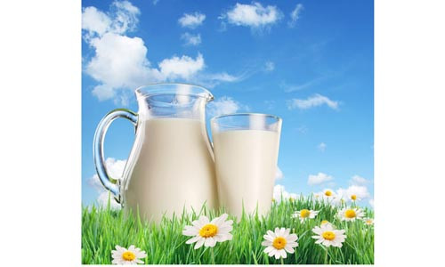 Sữa tươi là nguồn cung cấp dinh dưỡng bổ dưỡng