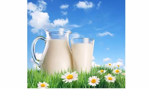 Sữa tươi là nguồn cung cấp dinh dưỡng bổ dưỡng