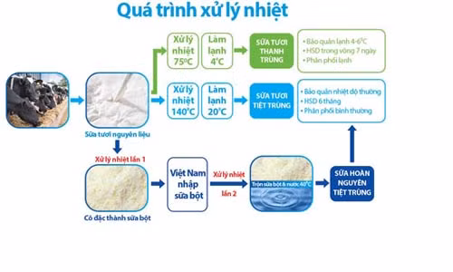 Quy trình xử lý nhiệt của các loại sữa nước trên thị trường