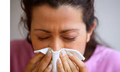 Ảnh minh họa Ảnh minh họa