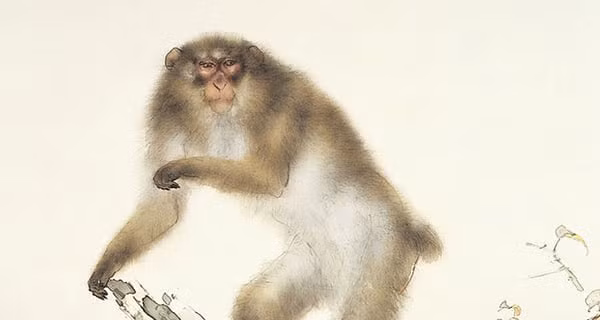 Tuổi Thân. Năm Giáp Thìn 2024 là năm “Kim Thân Thụy Khí” nên tài vận của người tuổi Thân đi lên nhanh chóng. Trong năm này, người tuổi Thân sẽ gặp may mắn về tiền bạc nhưng trúng xổ số với giải thưởng lớn.