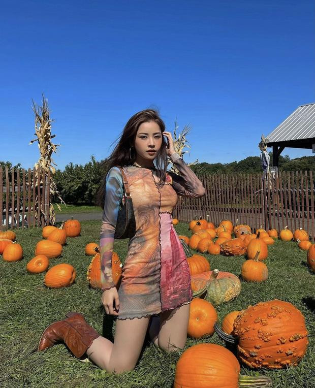 Khoe dáng bên vườn bí ngô đỏ rực, Chi Pu nổi bật với chiếc váy bó sát khoe vòng eo bé xíu, đi cùng boots cao cổ.