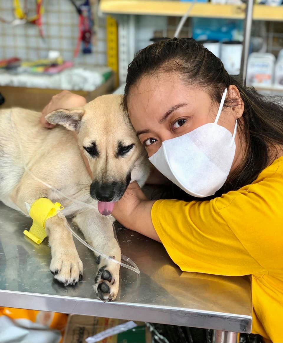 Diễn viên Hồng Ánh "Cây táo nở hoa" yêu thương động vật.