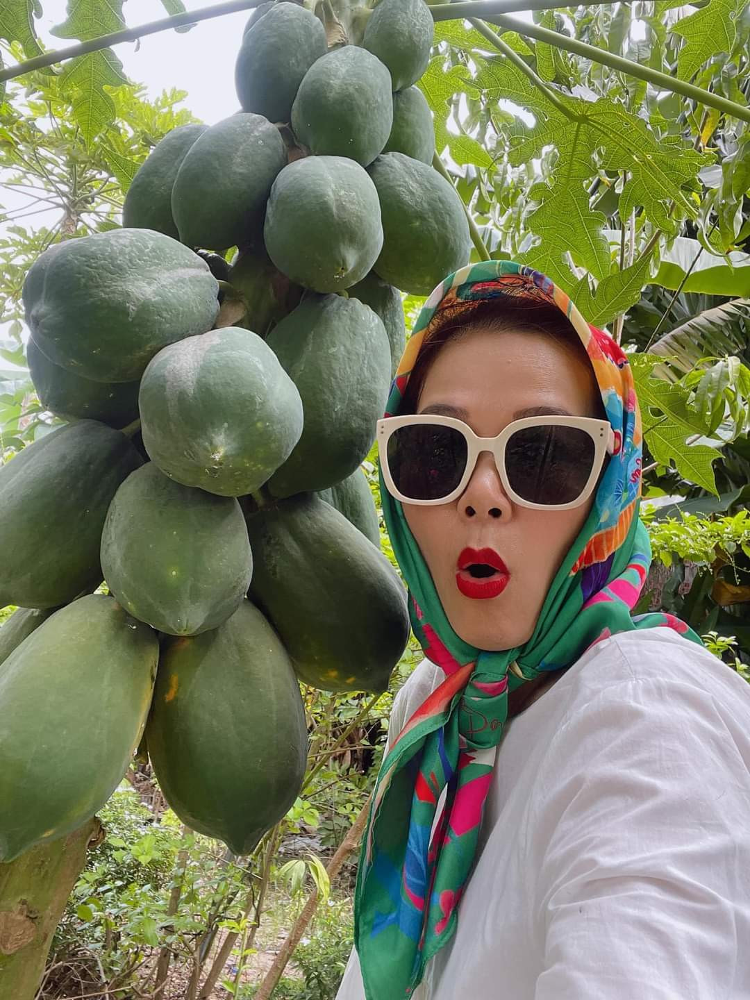 Ca sĩ Mỹ Lệ hoá tắc kè hoa tại vườn nhà.