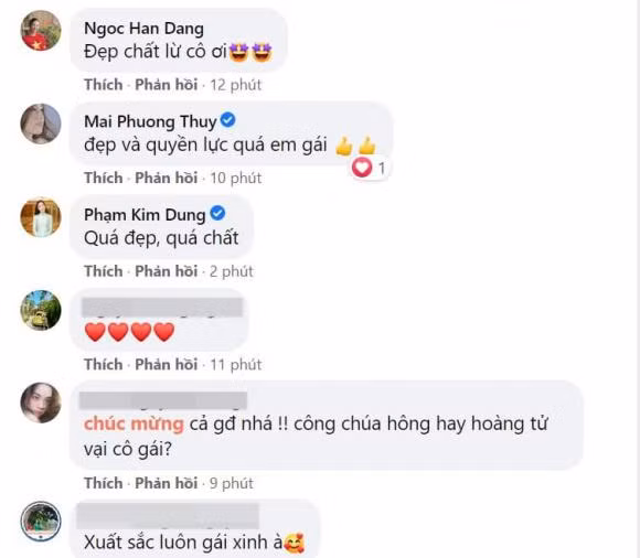 Ngoài ra, Hoa hậu Ngọc Hân, Mai Phương Thúy, doanh nhân Kim Dung... và người hâm mộ cũng dành lời khen cho Thanh Tú khi cô đang mang bầu mà vẫn xinh đẹp.