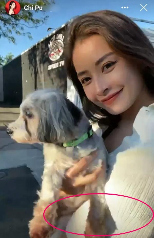 Tuy nhiên, vì khán giả đã quá quen với một Chi Pu eo ót phẳng lì nên khi thấy mỹ nhân sinh năm 1993 có dấu hiệu mũm mĩm lên đôi chút liền nảy sinh nghi ngờ.