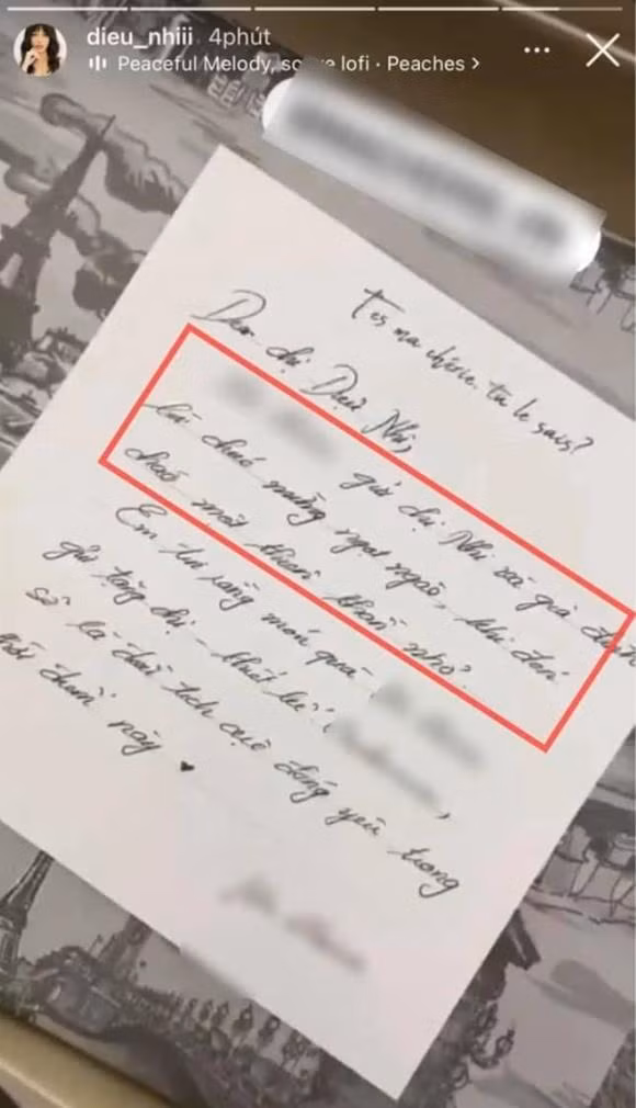 Dieu Nhi - Anh Tu lo bang chung song chung mot nha-Hinh-2