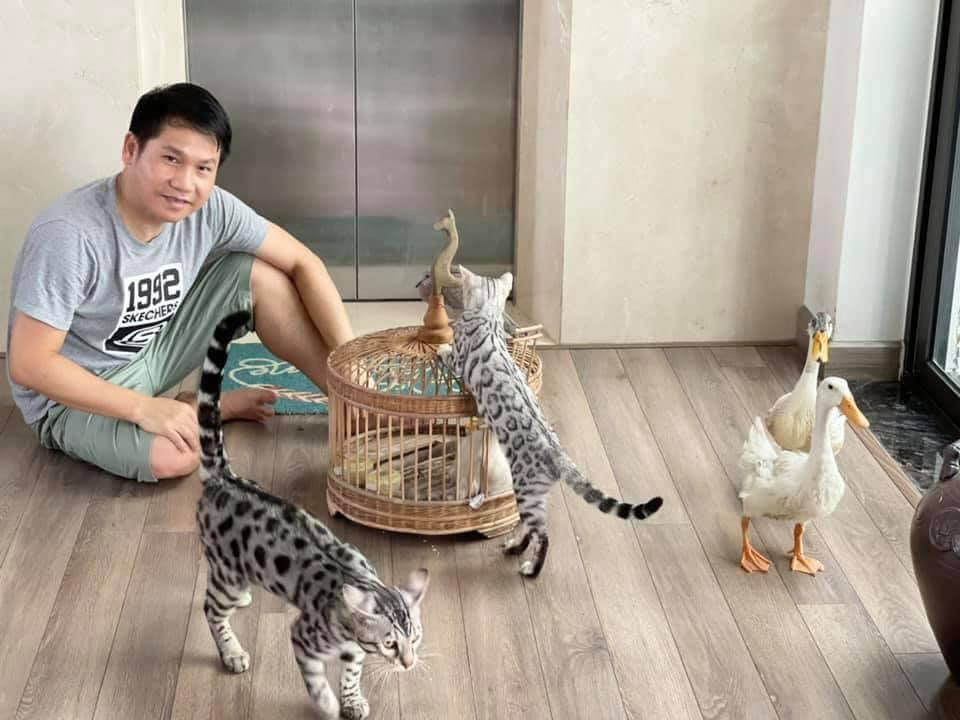 Ca sĩ Trọng Tấn thảnh thơi ngày cuối tuần.