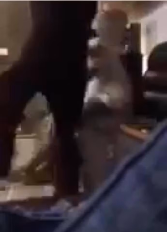 Cong su Phi Nhung tung anh gia dinh Ho Van Cuong luc duc?-Hinh-3