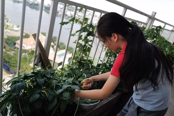 Không chỉ gây ấn tượng với mái tóc dài mượt mà Tôm còn khiến nhiều người ngạc nhiên hơn khi biết được cậu bé thích ăn chay. Hồng Nhung từng chia sẻ nhóc tì đã ăn chay từ khi mới hơn 1 tuổi.