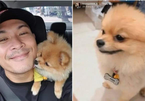 Thú cưng cũng y hệt! Đối mặt với nghi vấn tình cảm, Trương Thế Vinh từng thẳng thắn trả lời rằng, anh không bao giờ lên tiếng về chuyện tình cảm nhưng lần này là ngoại lệ. Nam ca sĩ kiêm diễn viên nổi tiếng khẳng định không có chuyện yêu đương ở đây vì cả hai chỉ là đồng nghiệp. Về phía Trâm Anh, cô cũng bất ngờ vì không hiểu vì sao có chuyện kì lạ này xảy ra và cũng phủ nhận mối quan hệ tình cảm với đàn anh.