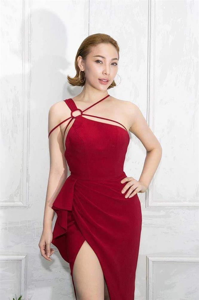 Trước đây, trong một sự kiện thời trang, nhiều người không khỏi bất ngờ vì gương mặt sưng phồng, khác lạ, có phần đơ cứng của người đẹp sinh năm 1990. Ngoài ra, cánh mũi thiếu tự nhiên, cùng phần cằm nhọn, dài “đúng chuẩn V-line” cũng khiến công chúng đặt nghi vấn về việc “bạn thân Ngọc Trinh” đã cậy nhờ đến phẫu thuật thẩm mỹ nhằm đem đến vẻ ngoài hoàn hảo đúng mốt.