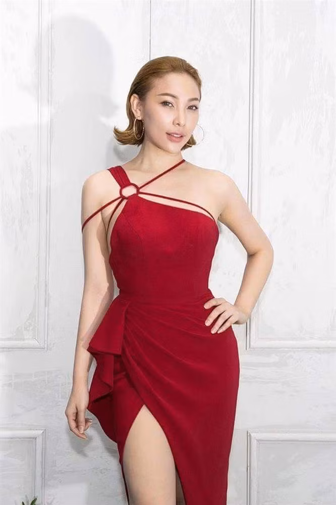 Trước đây, trong một sự kiện thời trang, nhiều người không khỏi bất ngờ vì gương mặt sưng phồng, khác lạ, có phần đơ cứng của người đẹp sinh năm 1990. Ngoài ra, cánh mũi thiếu tự nhiên, cùng phần cằm nhọn, dài “đúng chuẩn V-line” cũng khiến công chúng đặt nghi vấn về việc “bạn thân Ngọc Trinh” đã cậy nhờ đến phẫu thuật thẩm mỹ nhằm đem đến vẻ ngoài hoàn hảo đúng mốt.