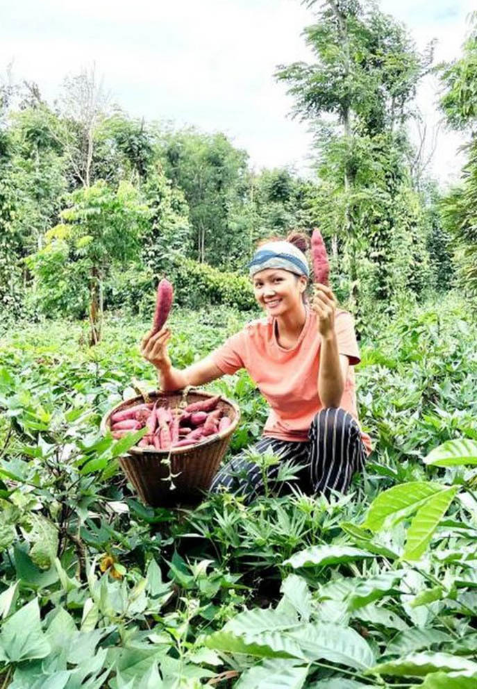 H'Hen Niê trở về với hình ảnh bình dị khi đi đào khoai ở quê nhà Đắk Lắk.