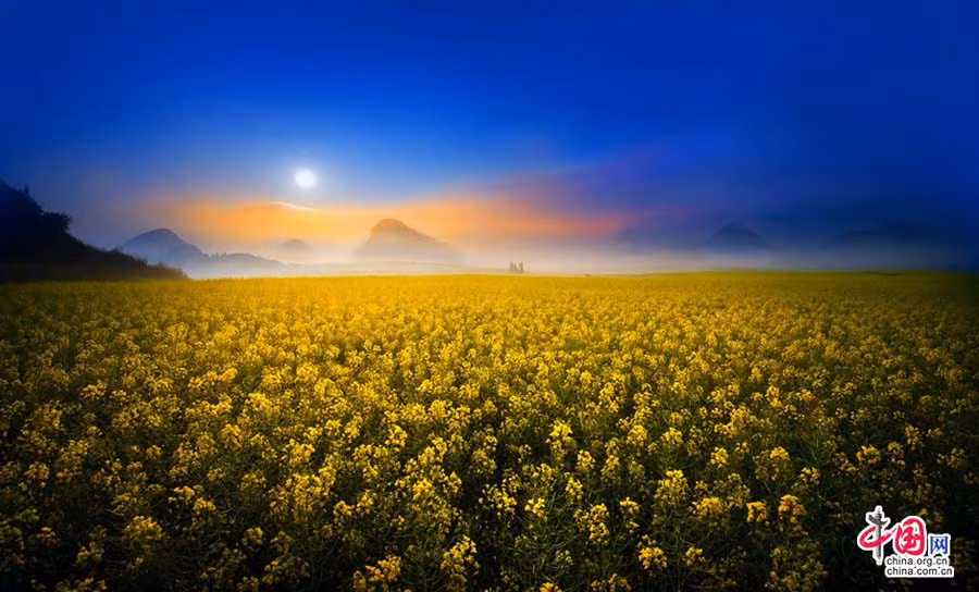 Trên thực tế, những cánh đồng hoa cải được bắt gặp ở khắp Trung Quốc nhưng những cánh đồng hoa cải mênh mông, bất tận ở Luoping được xem là đẹp và quyến rũ nhất.