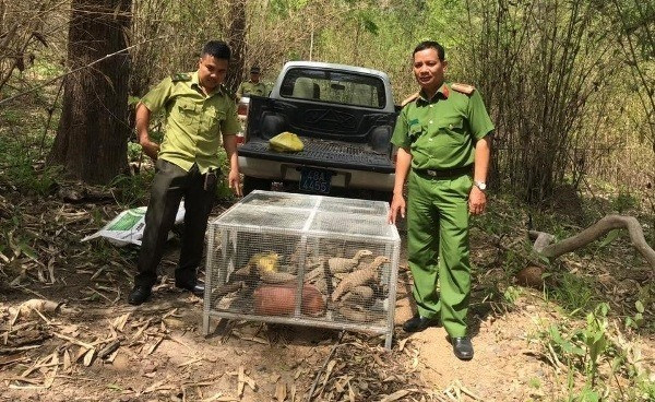 Cu ba 75 tuoi mua 5 con ky da de phong sinh, bat ngo bi truy to