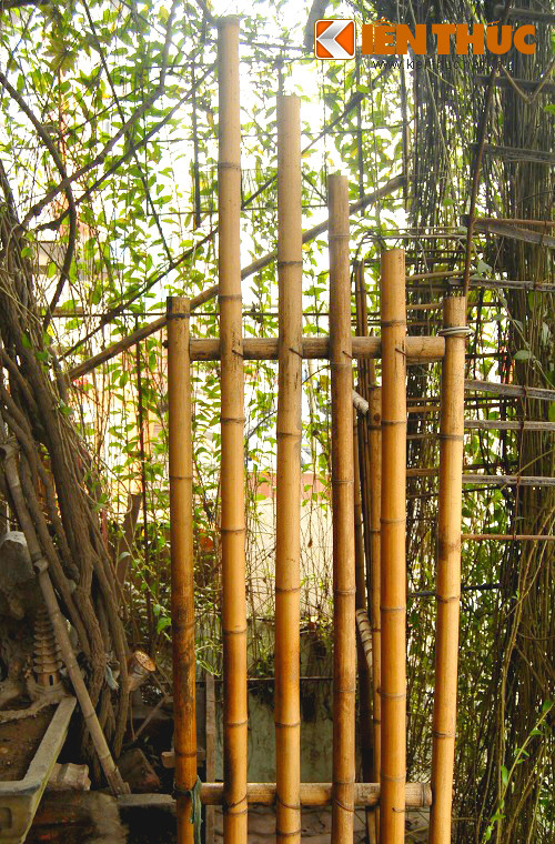 Bác Đ.C.Đ cho biết: Phải rất cẩn thận, chi tiết trong ba ngày để chiếc cổng được làm khớp với khung uốn dây leo, theo gia chủ chất liệu tre nứa rất "hợp gu" với cây cối.