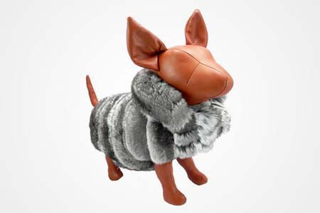 Cún cưng cũng có nhu cầu được làm đẹp: Để làm đẹp và giữ ấm cho cún cưng trong những ngày giá lạnh, một công ty chuyên sản xuất hàng xa xỉ tại Canada đang chào bán loại áo được quảng cáo làm bằng lông sóc thật dành cho chó. Website của công ty này quảng cáo đây là loại áo khoác lông “mềm nhất và tốt nhất thế giới”. Áo được bán theo đơn hàng riêng, giá từ 955 USD (tương đương 20 triệu đồng).