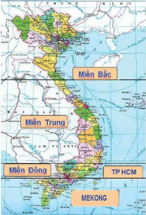 Chỉ trong vòng 6 tháng đầu năm 2012, VN Pharma thành lập VN Pharma An Giang (27/2/2012) và VN Pharma Cà Mau (18/6/2012).