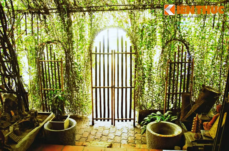  Nhìn từ trong nhà ra ngoài sẽ thấy dây leo được uốn thành hình cổng tam quan theo lối kiến trúc truyền thống. Bác Đ.C.Đ muốn tạo hình mang ý niệm về ba cách nhìn của Phật giáo (hữu quan, không quan và trung quan). Bác cho biết phải mất bốn năm để trồng và uốn cây cúc tần giống như bây giờ.