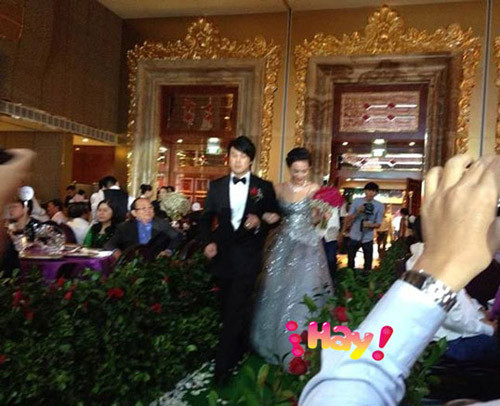 Xuất hiện trong đám cưới, cô dâu Trương Huệ Vân đã làm nhiều khách mời phải trầm trồ bởi vẻ đẹp lai Tây tỏa sáng cộng với chiếc váy cưới của hãng thời trang Vera Wang, trị giá 7.590 USD, tương đương với 200 triệu đồng. Không chỉ vậy, mỗi bàn tiệc của đám cưới được tiết lộ có giá đến hơn 35 triệu đồng, với những món ăn thuộc dạng cao lương mỹ vị như: canh bào ngư tiềm sò điệp khô, gà phi lê tùng lộ, bò Úc, tôm càng, chè yến…