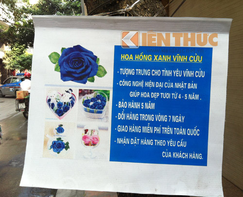 Hoa hồng xanh vĩnh cửu được quảng cáo trên đường phố Hà Nội.