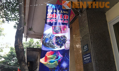 Hoa hồng 7 màu được xem là quà tặng độc đáo cho ngày 20/10 năm nay.