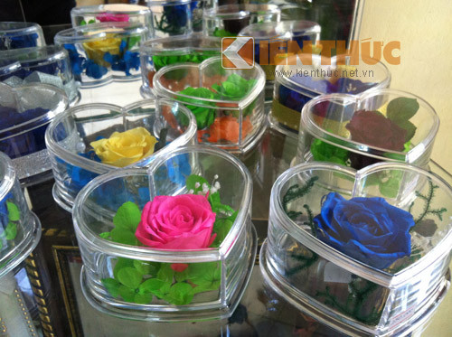 Mỗi bông hoa hồng có giá 200.000 đến 250.000 đồng.