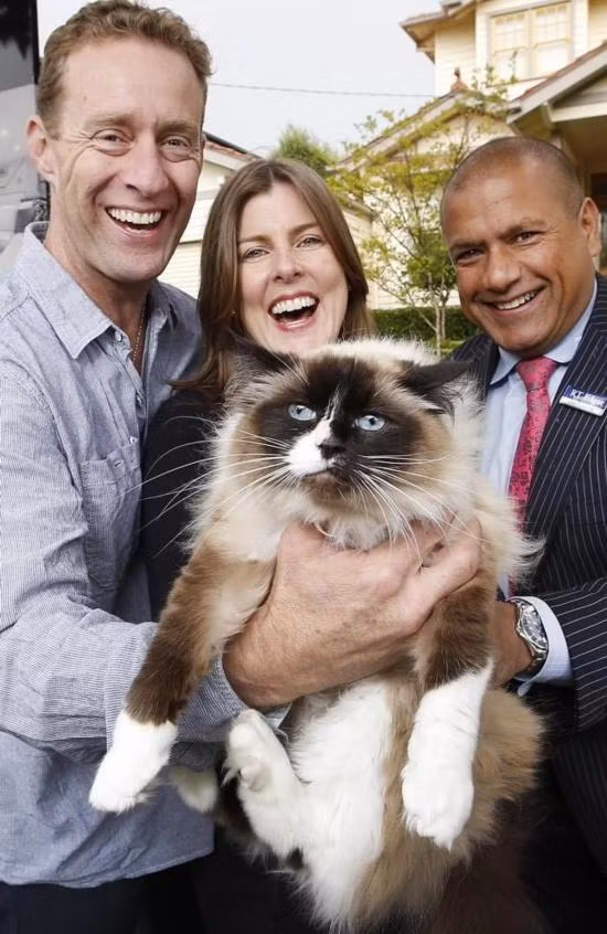 Chú mèo Tiffany tại Australia đã được định giá 123.000 USD (gần 2,6 tỷ đồng) chỉ vì chủ nhân của nó đã chấp nhận bán kèm nó với ngôi nhà của mình. Trước đó, căn nhà đã được rao bán, thậm chí còn được chủ nhân giảm giá bán nhưng chưa tìm được người mua. Điều kỳ diệu đã xảy ra với chủ nhân ngôi nhà khi họ quyết định rao bán con mèo mà họ đã nuôi trong nhiều năm qua. Nhờ nó, họ đã bán được ngôi nhà với giá 40 tỷ đồng, hời hơn 2,6 tỷ đồng so mới mức giá ban đầu.