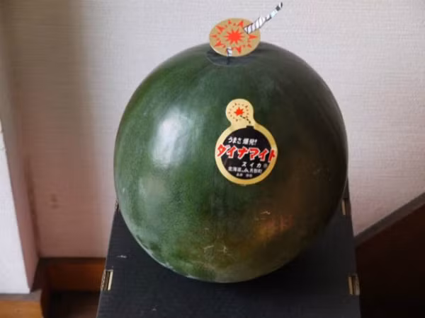 Mặc dù không có hình dạng đặc biệt nhưng “dưa hấu thuốc nổ" vẫn thu hút được sự chú ý của nhiều khách hàng. Sỡ dĩ, loại dưa này có tên như vậy bởi nó được đóng hộp giống một quả bom. Chỉ với 70 USD, khách hàng có thể mua một quả dưa "thuốc nổ".