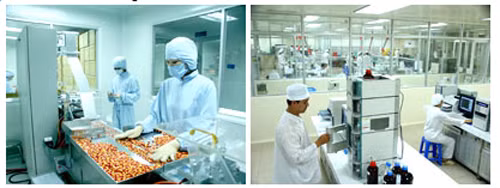 Công ty còn liên tiếp thành lập các đơn vị thành viên như VN Medicare (tháng 11/2012) hoạt động trong lĩnh vực vệ sinh và sinh hóa phẩm y tế.