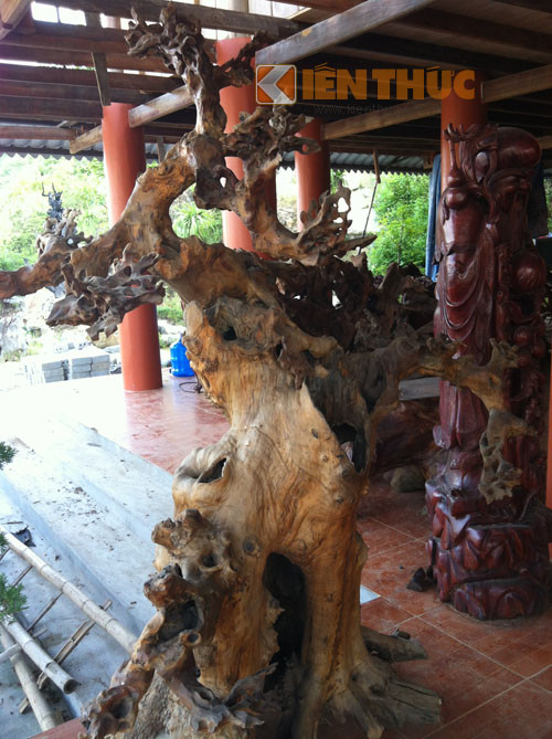 Anh Hoan cho biết: Gỗ lũa là phần xương cốt của cây gỗ còn sót lại sau nhiều năm dưới tác động của nắng mưa, côn trùng hay dòng chảy của nước... Một tác phẩm gỗ lũa đẹp và có giá trị phụ thuộc vào dáng vẻ của nó. Tác phẩm gỗ lũa sẽ càng đắt đỏ khi nó đẹp tự nhiên theo một chủ đề nào đó và người thợ càng ít tác động vào càng tốt.