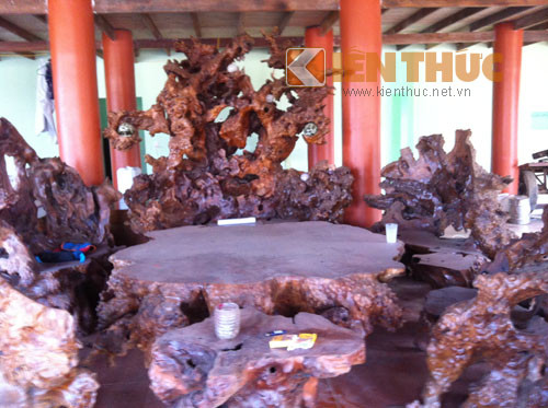 Những bộ bàn ghế từ những gốc cây gù hương thơm ngát, tác phẩm mang một vẻ đẹp tự nhiên đặc trưng. Hiện bộ bàn ghế này được trả giá 500 triệu đồng/bộ.