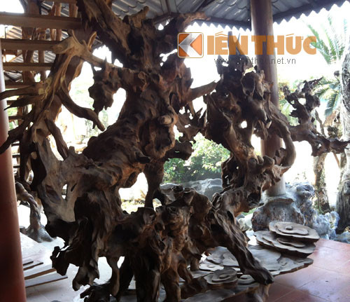 Chính vì vậy, để tìm được nhiều khúc gỗ lũa đẹp, có thể tạo nên những tác phẩm nghệ thuật có giá trị, anh Hoan đã kỳ công lặn lội khắp các tỉnh, đặc biệt là nơi có rừng sâu núi cao. Anh kể, có những chuyến anh phải đi sang Lào, Campuchia nhiều ngày liền để lùng sục và đặt mối quan hệ thu mua nguyên liệu.