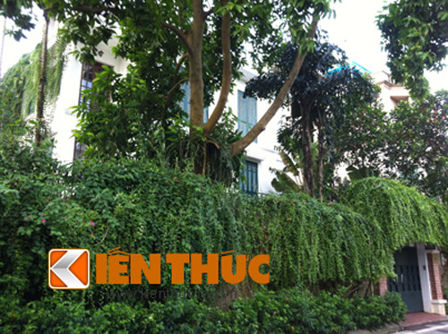 Giá đất khu vực hồ Tây trung bình khoảng 250 - 400 triệu đồng/m2 tùy vị trí. Khu vực quanh Phủ Tây Hồ, khu vực gần Quận uỷ Tây Hồ, khu vực vườn đào gần đường Lạc Long Quân, khu vực Phú Thượng được nhiều người mua quan tâm.