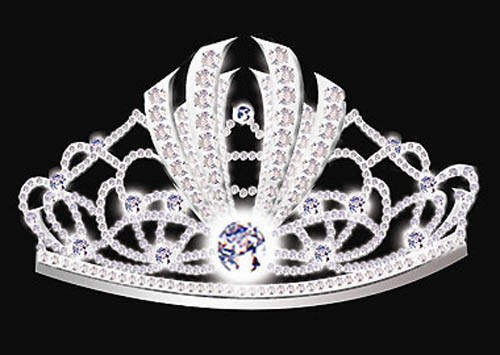 Bước sang năm 2008, Tập đoàn CT Group, đơn vị thực hiện chiếc vương miện HH Hoàn vũ Việt Nam 2008 dự kiến chi phí ban đầu khoảng 5.000 USD. Tuy nhiên, sau đó vương miện đã được trang hoàng thêm lộng lẫy bằng các hạt pha lê Swarovski của Áo, và nâng tổng giá trị thành 12.000 USD.